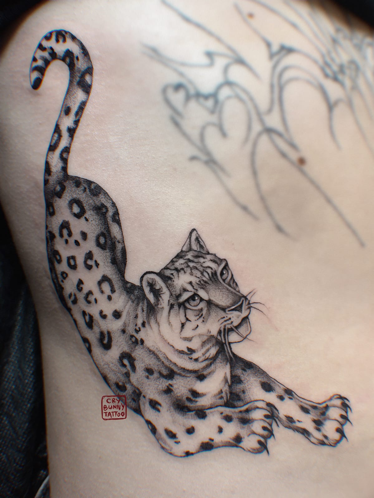 Sněžný leopard na boku